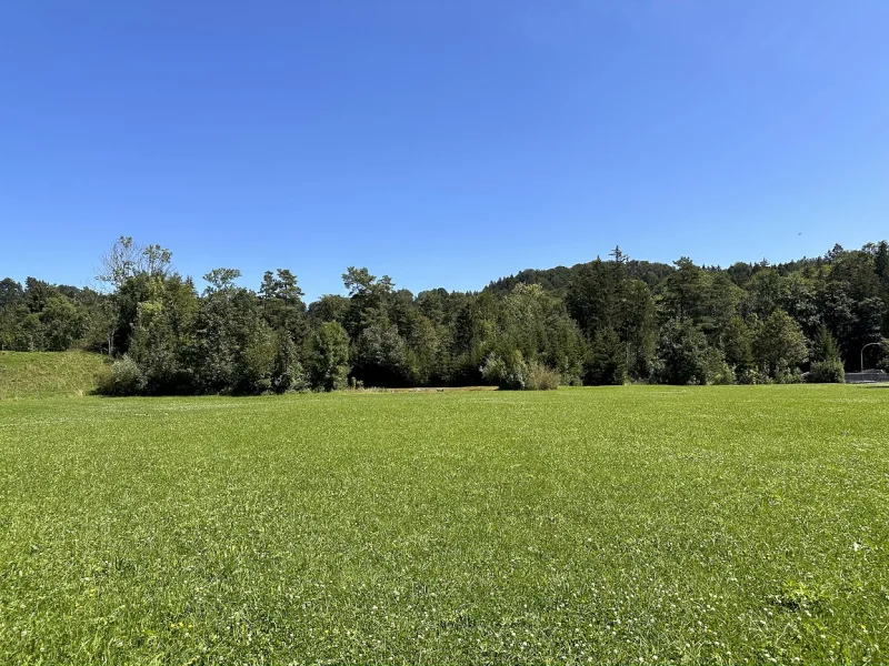 Ausblick von nördlichen Grundstücksbereich ins Grüne