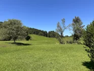 Blick auf den nördlichen Grundstücksbereich