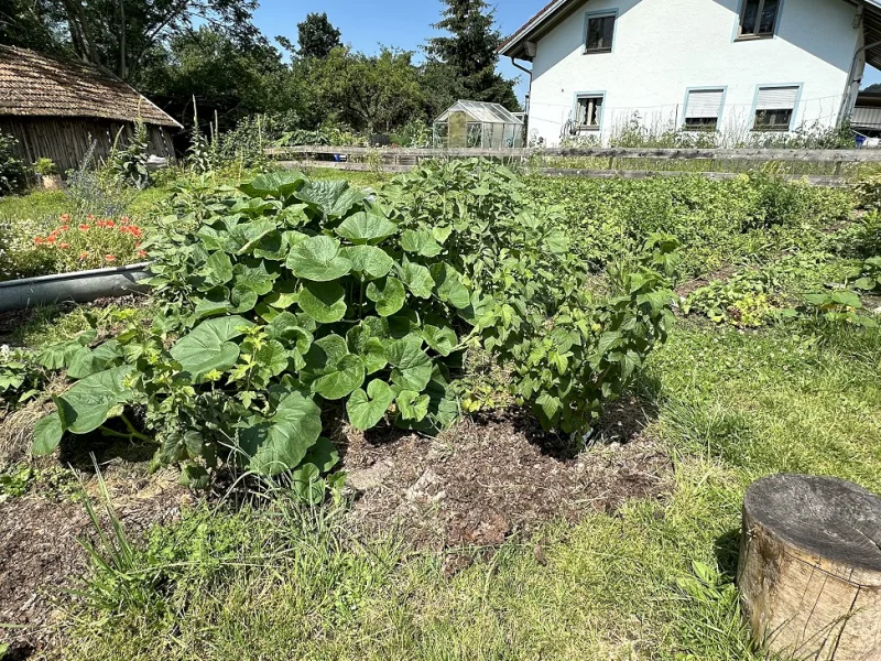 Grundstück gegenüber vom Haus