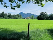 Ausblick in Richtung Norden zur angrenzenden landwirtschaftlichen Fläche