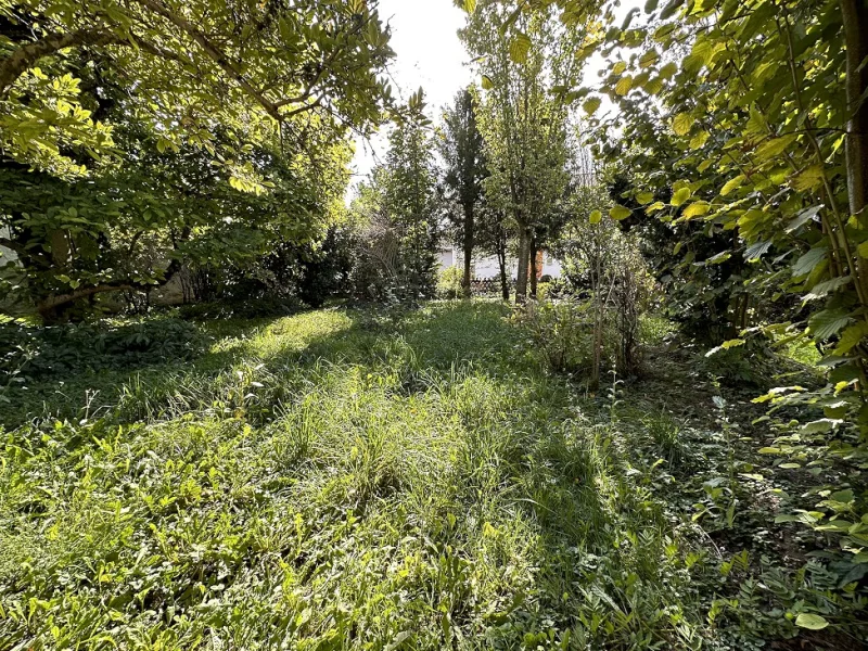  Grundstück - Garten