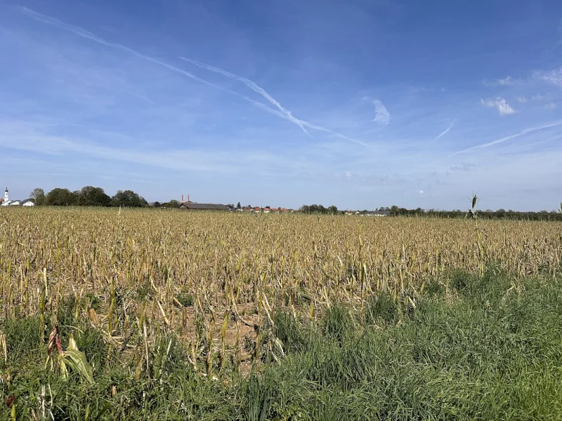  - Grundstück kaufen in Höhenkirchen-Siegertsbrunn - Ackerfläche - Ideal für Landwirte oder Spekulanten!