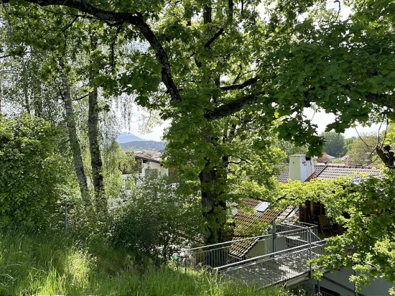 Wohnung Nr. 2: Ausblick von Osten (DG)