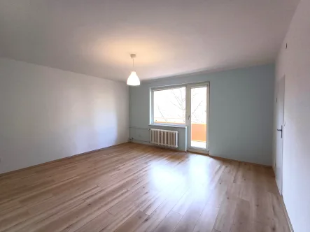 Wohnzimmer - Wohnung kaufen in Berlin - Sonnige 1-Zimmer Wohnung - bezugsfrei