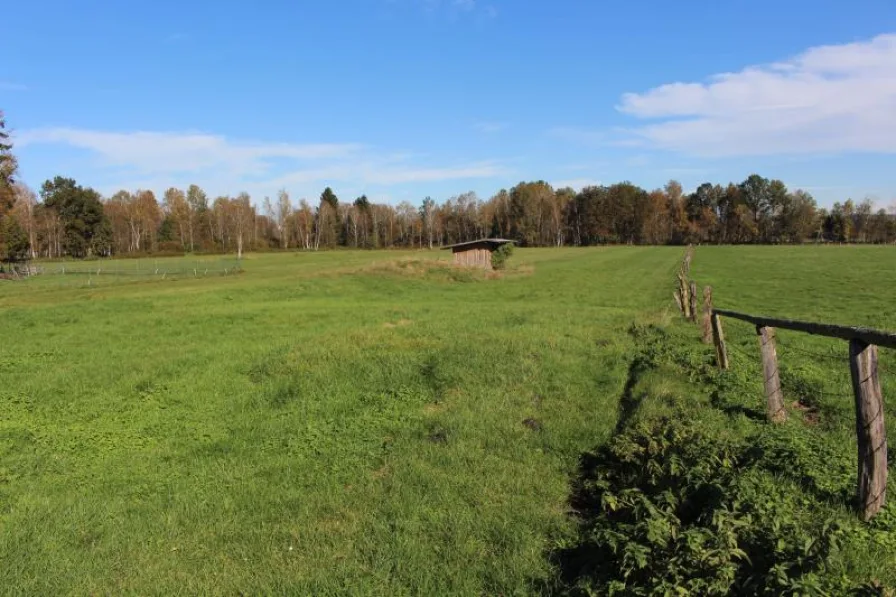 Grundstück - Land- und Forstwirtschaft kaufen in Weilheim - Grundstück ohne Baurecht mit Holzhütte und Bachlauf - gute Zufahrt im Weilheimer Moos