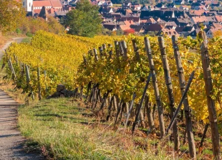 Weinort Lindelbach - Wohnung mieten in Wertheim / Ortsteil Lindelbach - Großzügige Wohnung in lebendiger Dorfgemeinschaft