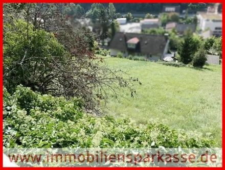 Platz für Ihr neues Zuhause! - Grundstück kaufen in Altensteig - Großes Grundstück, tolle Aussicht!