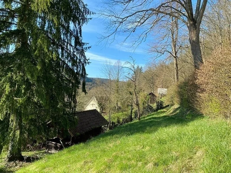 Aussicht nach Hirsau