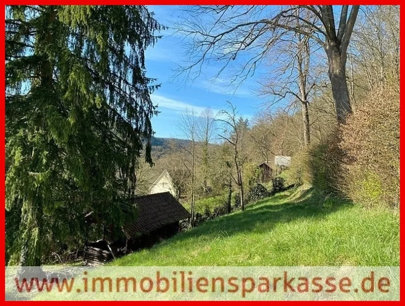 Aussicht nach Hirsau - Grundstück kaufen in Calw - Herrlicher Bauplatz in bester Wohnlage!