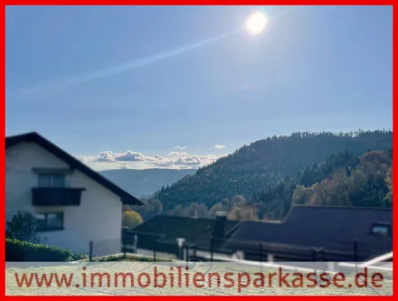 Ihr Ausblick! - Wohnung kaufen in Bad Herrenalb - Großzügige Wohnung mit Terrasse und Garage!