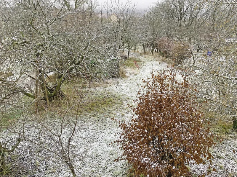 Blick in den Garten