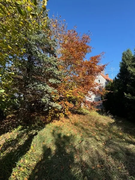 Grund - Grundstück kaufen in Hohenbrunn - Brück Immobilien - Schöner ca. 600 m² großer Baugrund mit Altbestand in ruhiger Lage