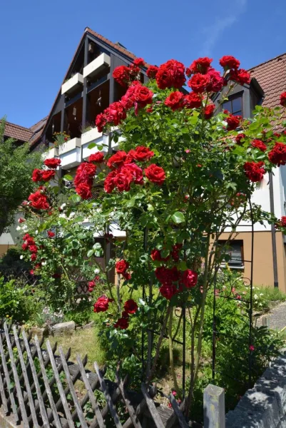 Viel Grün drumherum.