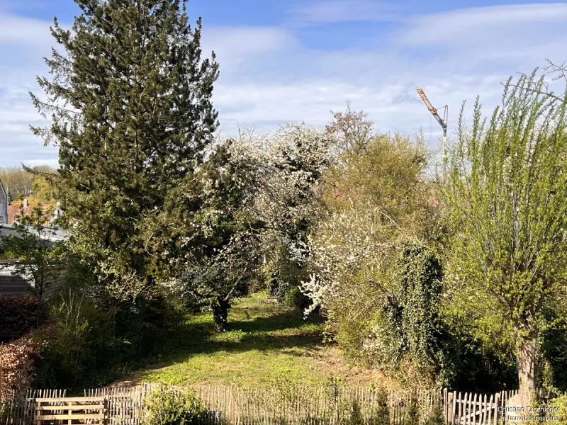 Traumgrundstück - Grundstück kaufen in Regensburg - * In zweiter Baureihe* Bauplatz für eine kleine, feine Wohnanlage