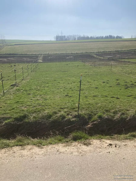 Ansicht - Grundstück kaufen in Freising - Investieren Sie in Landwirtschaftsflächen bei Freising