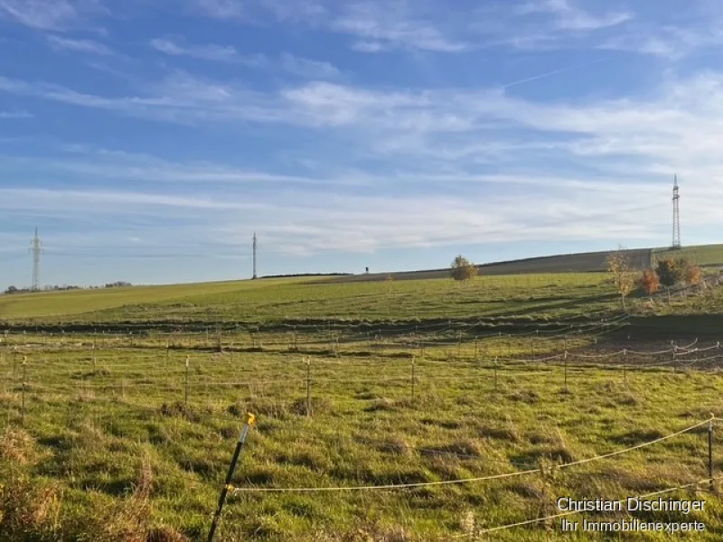 Grundstück - Grundstück kaufen in Freising - Landwirtschaftsflächen bei Freising