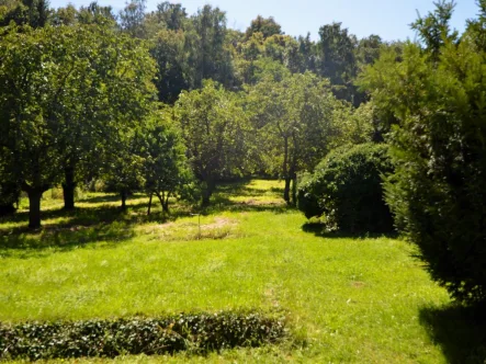 Blick nach Süden  - Grundstück kaufen in Pleinting bei Vilshofen - Über 2.300 m² großes Grundstück mit Altbestand