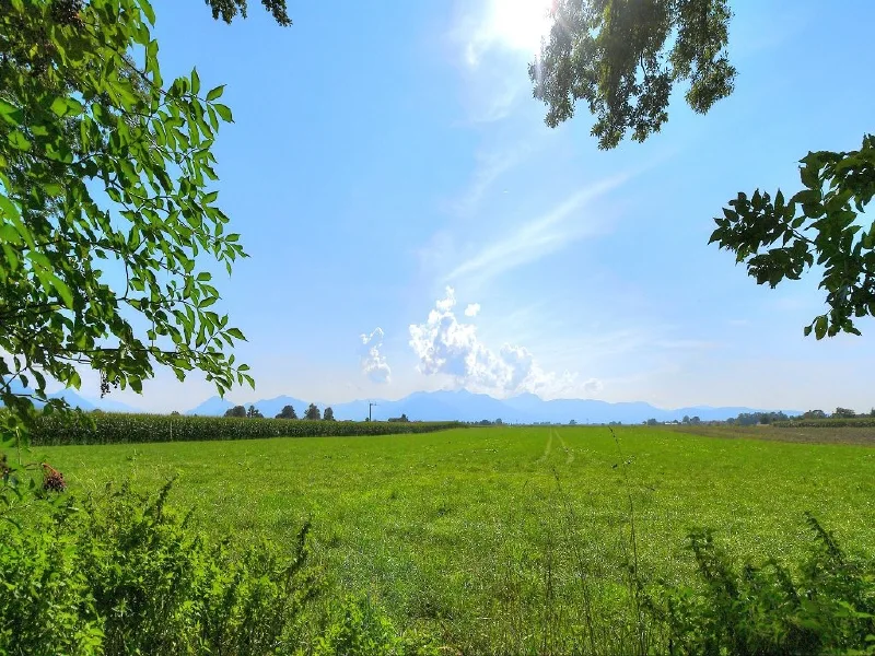 Blick von der Grundstücksgrenze in die Berge