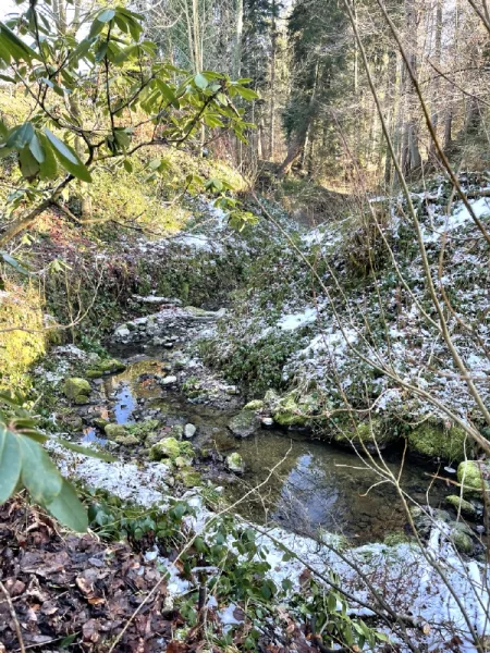 Gartenimpressionen mit Bachlauf