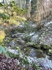 Gartenimpressionen mit Bachlauf