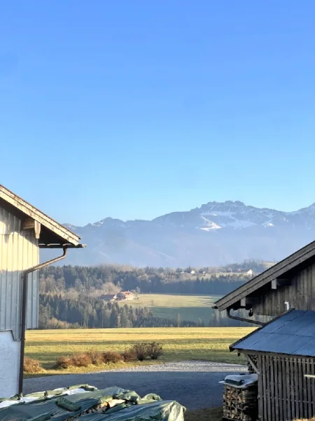 Blick vom Balkon