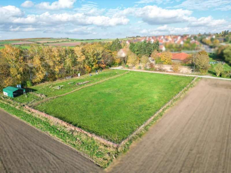 Rückansicht Koppel Südwest