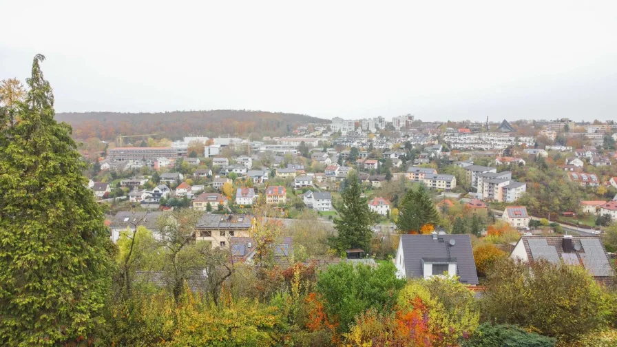 Weitblick über Höchberg 