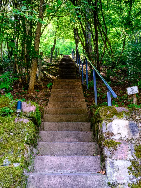 Himmelstreppe zwischen Mühle und Baumhäusern