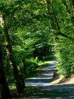 Waldweg auf dem Grundstück