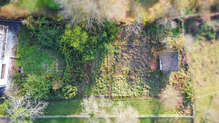 Vogelperspektive Garten