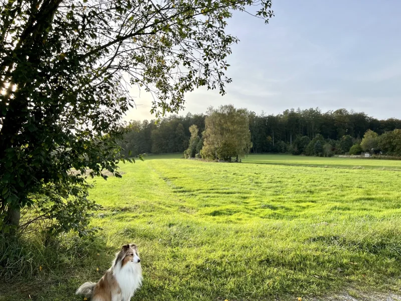 Natur vor der Tür