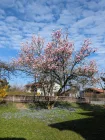 Garten Frühjahr