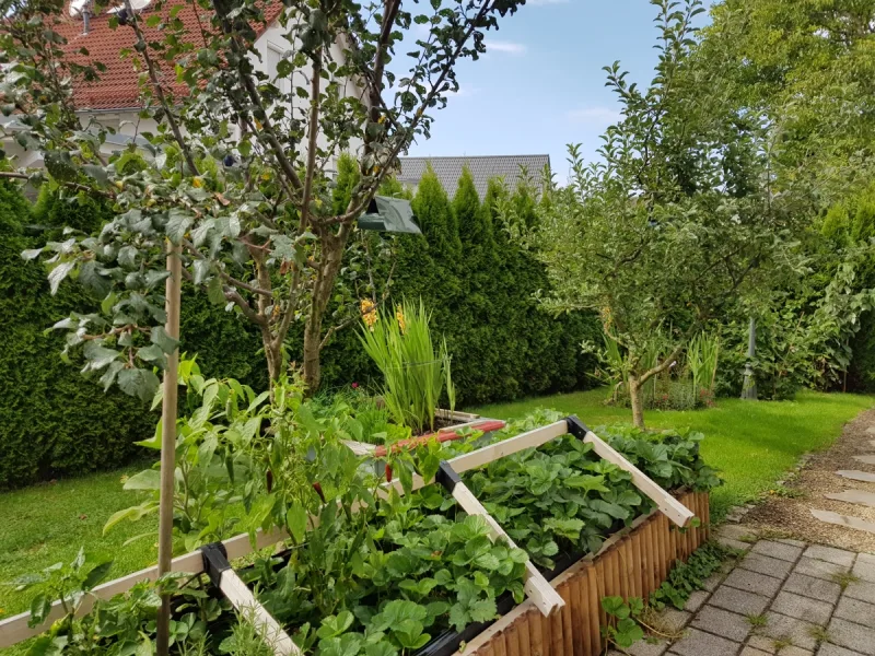 Garten_Westseite_Frühbeet