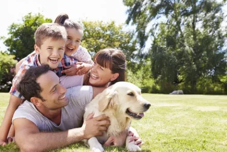 Happy Family - Grundstück kaufen in Althegnenberg - Großes Grundstück für Ihr Traumhaus