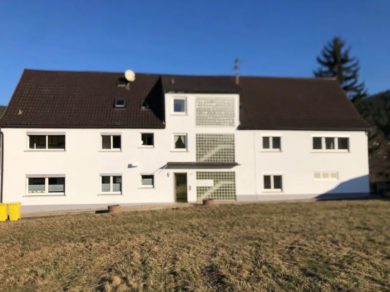 Außenansicht - Haus kaufen in Weißenbrunn - tolles Mehrfamilienhaus mit Potential