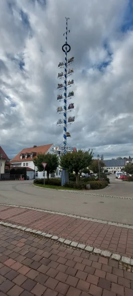 Maibaum 2024