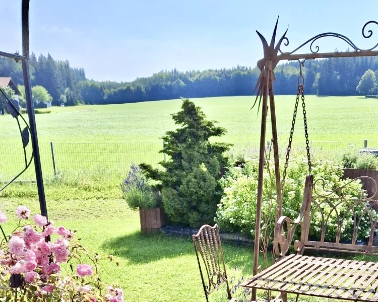 Blick von der Südterrasse ins Grüne