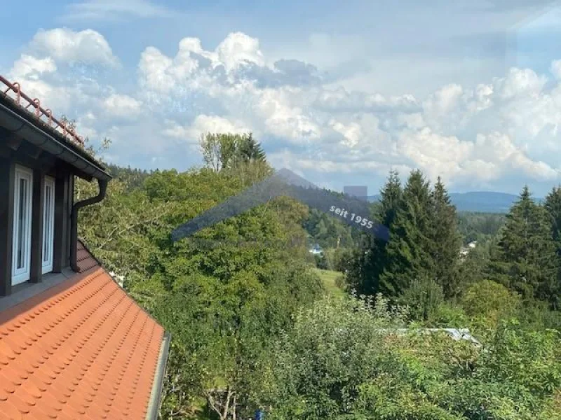 Blick - Haus kaufen in Freyung - Freyung gepflegtes Ein-/Zweifamilienhaus mit Garten