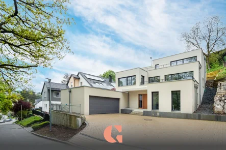 Hausansicht - Haus kaufen in Landshut - Außergewöhnliche Neubau Villa mit herrlichem Weitblick