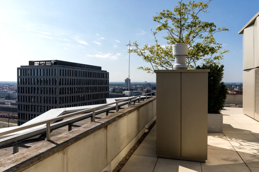 Roofgarden