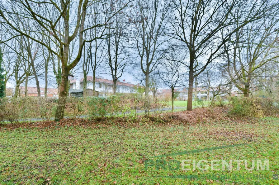 Blick in den ruhig gelegenen Park