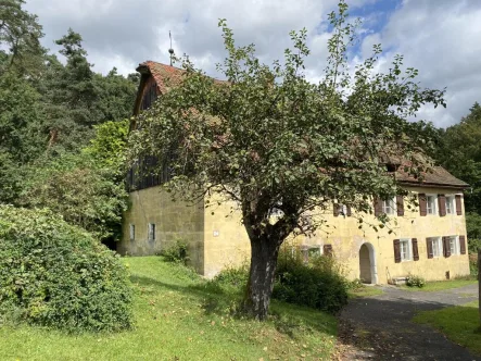 Mühlengebäude - Haus kaufen in Lauf - Denkmalgesch. ehem. Mühle m. Scheune u. Nebengeb. in idyll. Lage bei Lauf