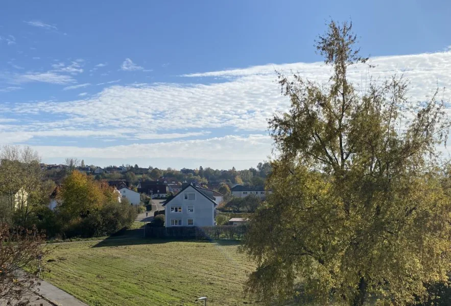 Blick v.d. Terrasse