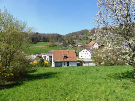 Blick nach Westen - Grundstück kaufen in Reichenschwand - Traumlage zwischen Lauf und Hersbruck - Baugrundstück für EFH - H 4231