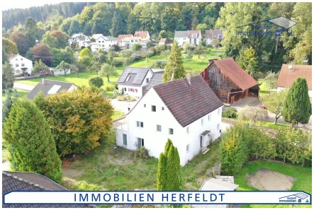 Großzügiges Mehrfamilienhaus - Haus kaufen in Balzheim - Renovierungsbedürftiges Anwesen mit Einliegerwohnung in ruhiger Lage zwischen Memmingen und Ulm