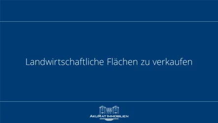 Landwirtschaftliche Flächen Buchloe/Lindenberg - Grundstück kaufen in Buchloe - Landwirtschaftliche Flächen in Buchloe/Lindenberg