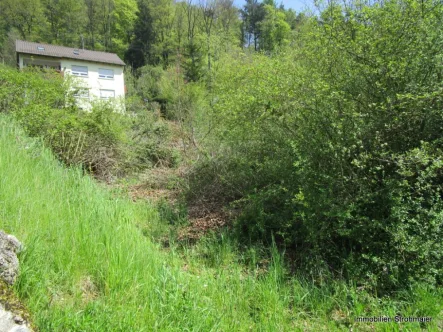 Baugrundstück - Grundstück kaufen in Pommelsbrunn - Baugrundstück für Einfamilienhaus