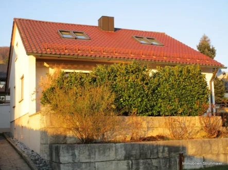 Aussenansicht - Haus kaufen in Hersbruck - Einfamilienhaus mit großem Grundstück