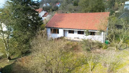 Frontansicht - Haus kaufen in Hersbruck - Wohnen auf einer Ebene! Einfamilienhaus am Ortsrand im Bungalowstil