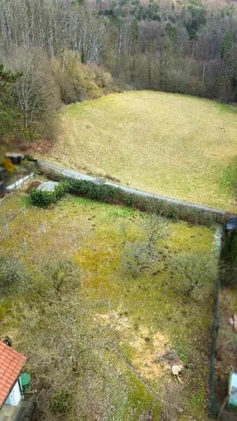 Grundstück mit Waldblick - Grundstück kaufen in Hersbruck - Bauplatz für Einfamilienhaus am Ortsrand